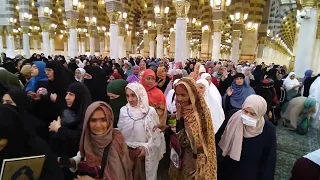 Khawateen zaaireen - Rauza-e-Rasool,  Masjid-e-Nabwi ❤️