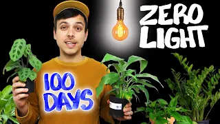 We Tested Houseplants In ZERO LIGHT - The results were shocking