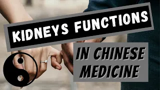 Kidneys functions in Chinese Medicine