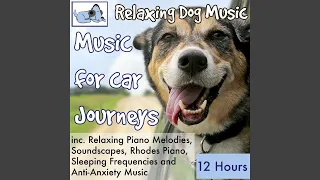 High Frequency Relaxation Music for Dogs