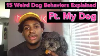 15 WEIRD DOG BEHAVIORS EXPLAINED| FT. MY DOG