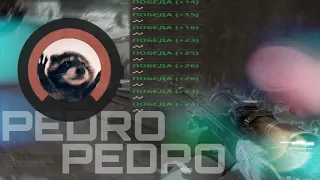 PEDRO PEDRO PEDRO ! 🦝🦝🦝