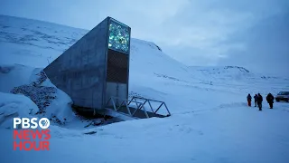 Global Seed Vault becomes more important than ever as climate change threatens crops