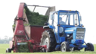 Ford 5000 in the field chopping grass w/ JF FC 80 Forage Harvester | Silage Season 2021