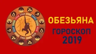 Обезьяна в год Свиньи. Восточный гороскоп на 2019 год