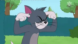 Tom si Jerry ~   Popandaul   ~ Desene animate traduse dublate in romana