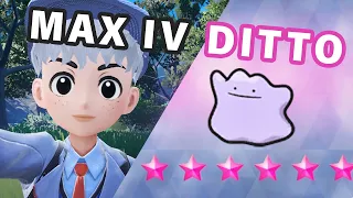 How to get 6 BEST IV Ditto ► Pokemon Scarlet & Violet