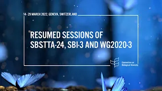 (Russian)  14 March 2022 15:00 to 18:00 (CET) - Plenary for WG2020-3  and SBI-3