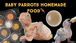 How to make Baby parrots home food / homemade food for baby birds /Hand feed for baby parrots