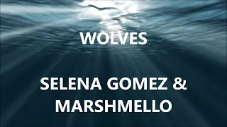 WOLVES - SELENA GOMEZ & MARSHMELLO (Lyrics)