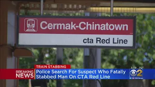 CTA Red Line Trains Delayed After Fatal Stabbing Incident