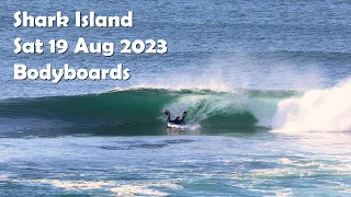 Bodyboards - Shark Island