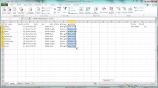Data merge: Setting up a data file in Excel to merge with InDesign
