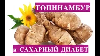 Топинамбур (земляная груша) и сахарной диабет (heliantnus tuberosus)