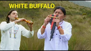 WHITE BUFFALO  4K | @LuisWuauquikuna and @Moh_Incas