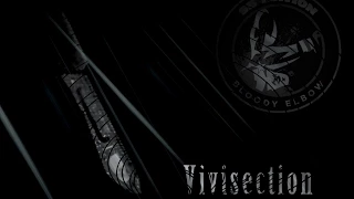 MMA Vivisection - Invicta FC 10: Waterson vs. Tiburcio