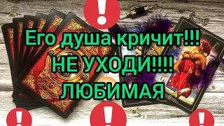 ✅🔯💕🔯✅ ЕГО ДУША КРИЧИТ ... НЕ УХОДИ💞💞💞 ЛЮБИМАЯ ✅🔯💕🔯✅💕💕💕💕💕💕💕💕💕💕💕💕💕