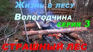 Жизнь в лесу / Вологодчина / серия 3 - СТРАШНЫЙ ЛЕС