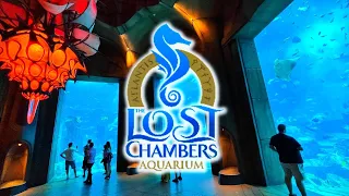 Lost Chambers Aquarium Atlantis Dubai Walkthrough Tour