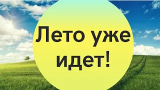 Солнце, грозы и тепло до +23: синоптики озвучили прогноз погоды на выходные