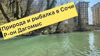 Природа и рыбалка в Сочи. Р-он Дагомыс. Это прекрасно 👌