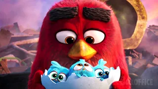 The Angry Birds cutest moments 🌀 4K