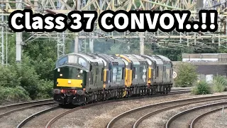 WOW..! Class 37 CONVOY THRASH around the Queensville Curve @ Stafford 04/08/22