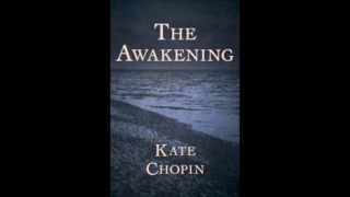 The Awakening - Audiobook - Chapters 1-5