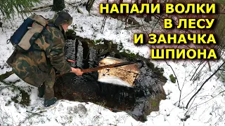 Напала в лесу стая волков, но меня так просто не возьмёшь...