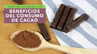 BENEFICIOS DEL CONSUMO DE CACAO | El cacao como superalimento | Por qué consumir cacao
