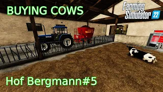 BUYING COWS AND MIXING FEED! - Hof Bergmann - FS 22 - Timelapse#5