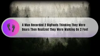 Two BigFoots Recorded From Yellowstone Park