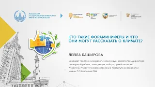 Кто такие фораминиферы и что они могут рассказать о климате?