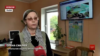 На Львівщині синоптики прогнозують приморозки