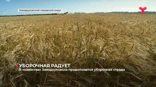 В хозяйствах Заводоуковска продолжается уборочная страда