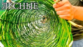 FISH TRAP - UPPER | MORD | MERGE - Native Russian Fish Trap