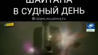 Шайтан в судный день