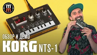 Korg NTS 1 - подробный обзор и демо