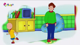 Volám sa Caillou - Požičaná kniha, pokazený pan kostrička, Kajo vajo