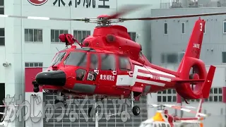 東京ヘリポートに着陸する東京消防庁のヘリコプター「かもめ」・ユーロコプターAS365ドーファンII（JA119E）
