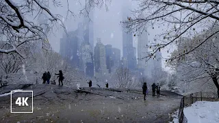 Perfect SNOW DAY in CENTRAL PARK, New York