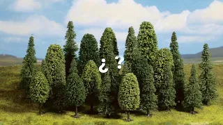 ¿Cuántos árboles forman un bosque?