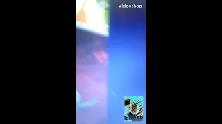 Lr Transforming Gogeta Vegito Blue Super Attack Showcase English Version