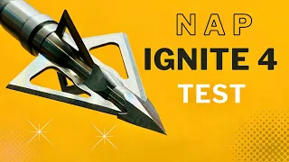 NAP IGNITE 4 Broadhead Test