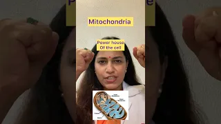 Why is mitochondria DNA mutation passed only from mother???⚕️🏥