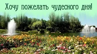 Хочу пожелать чудесного дня!