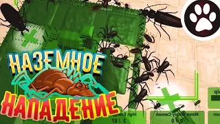 ИГРА HOME WARS | НАЗЕМНЫЕ ВОЙСКА | CUSTOM BATTLE | HOME WARS GAMEPLAY | BUGS BATTLE |