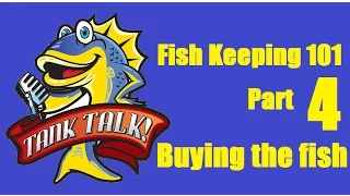 Fish Keeping 101 Part 4 "Buying the fish". Tank Talk presented by KGTropicals