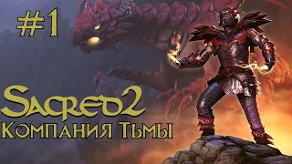 Прохождение Sacred 2 Gold (Кампания Тьмы) Серия 1 "Дракомаг прибыл в Анкарию"