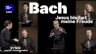 Bach, Jesus bleibet meine Freude // SYNG! med DR Vokalensemblet